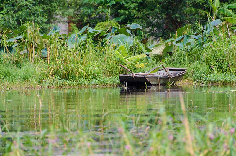 474 - Vietnam - cuevas de Tam Coc - rio Ngo Dong - paisaje